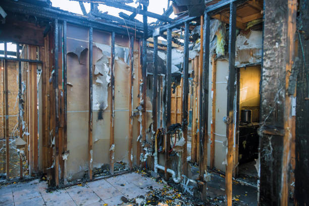 Professional Fire Damage Removal technician working in Indian Hills, NM